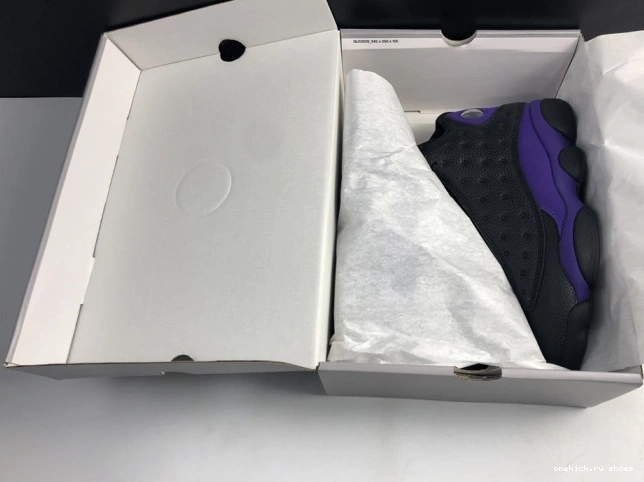 Rep 13 Purple DJ5982-015 Jordan Court Air 0617